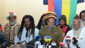rasta